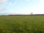 2007 01 21 gruenkohlwanderung im sturm 052